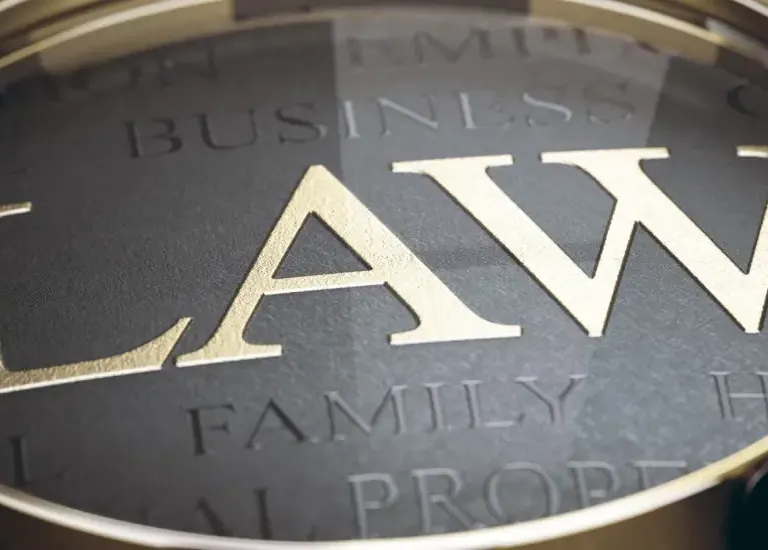 a magnifying glass with the word law under it