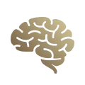 brain icon